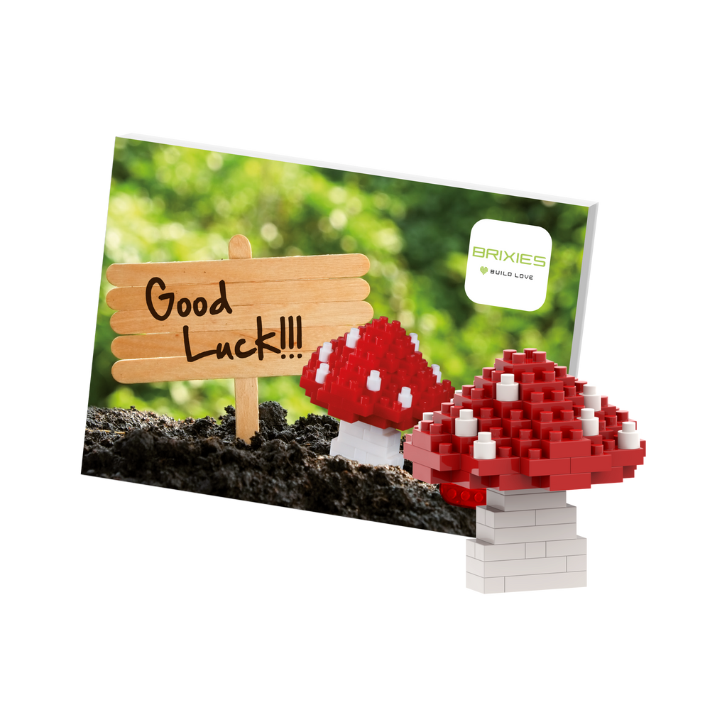 BRIXIES Postkarte Glückspilz