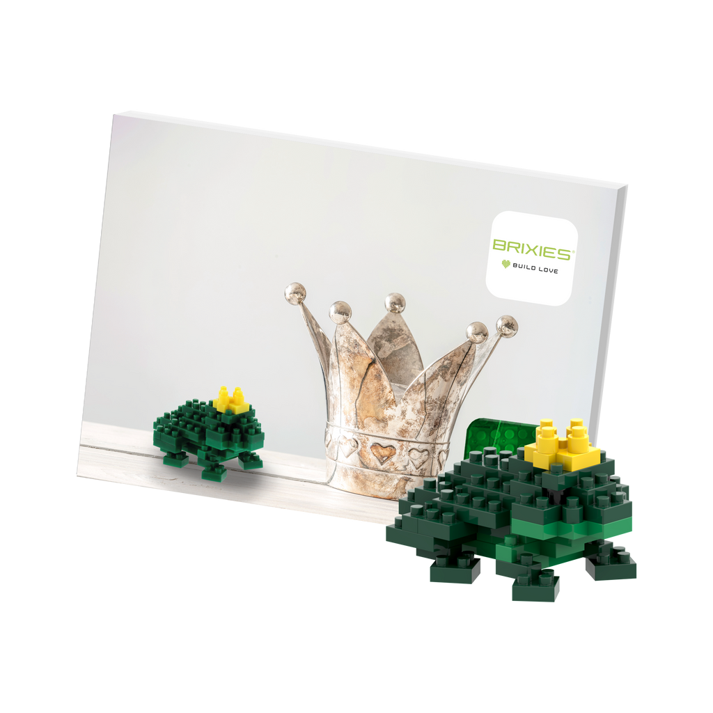 BRIXIES Postkarte Froschkönig
