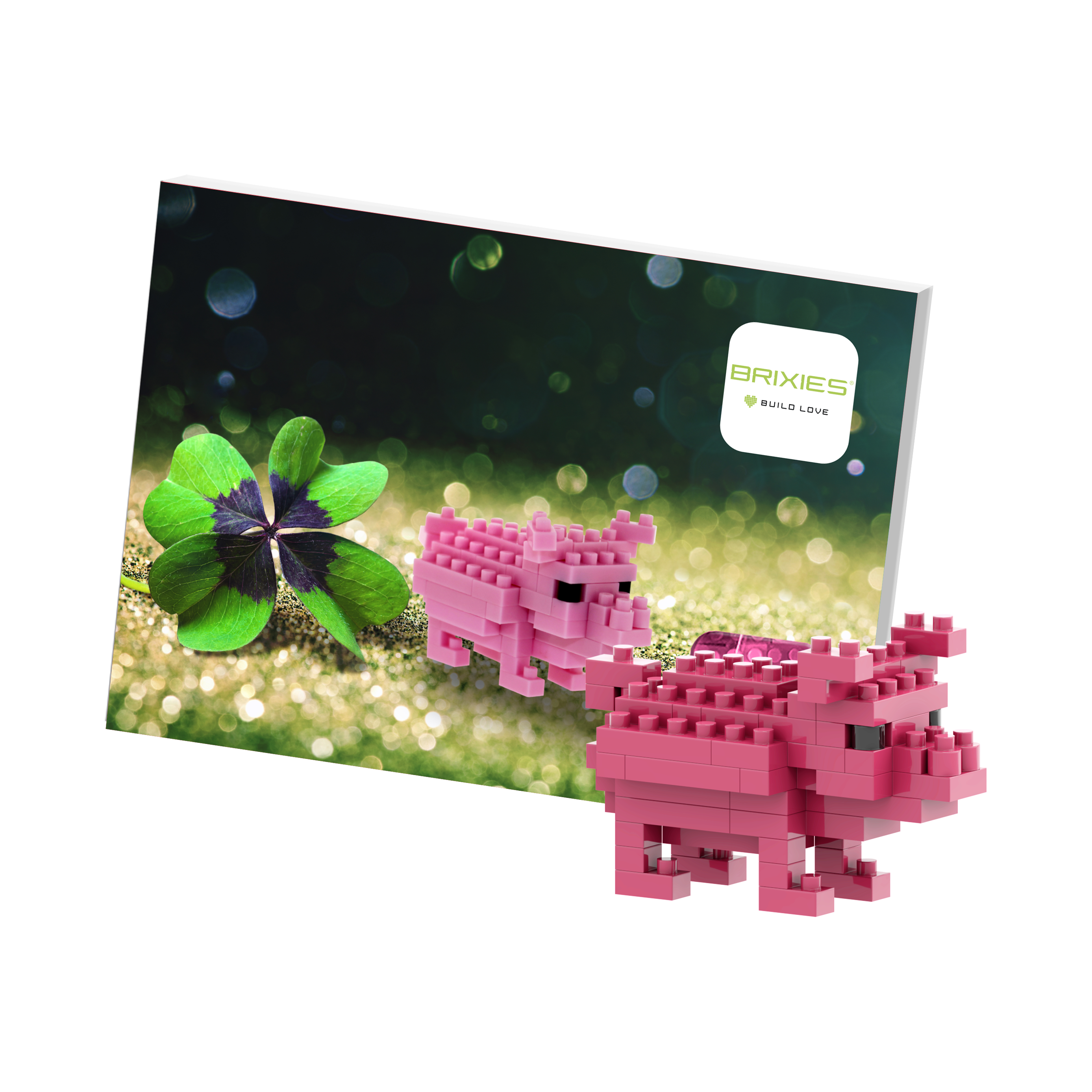 BRIXIES Postkarte Glücksschwein