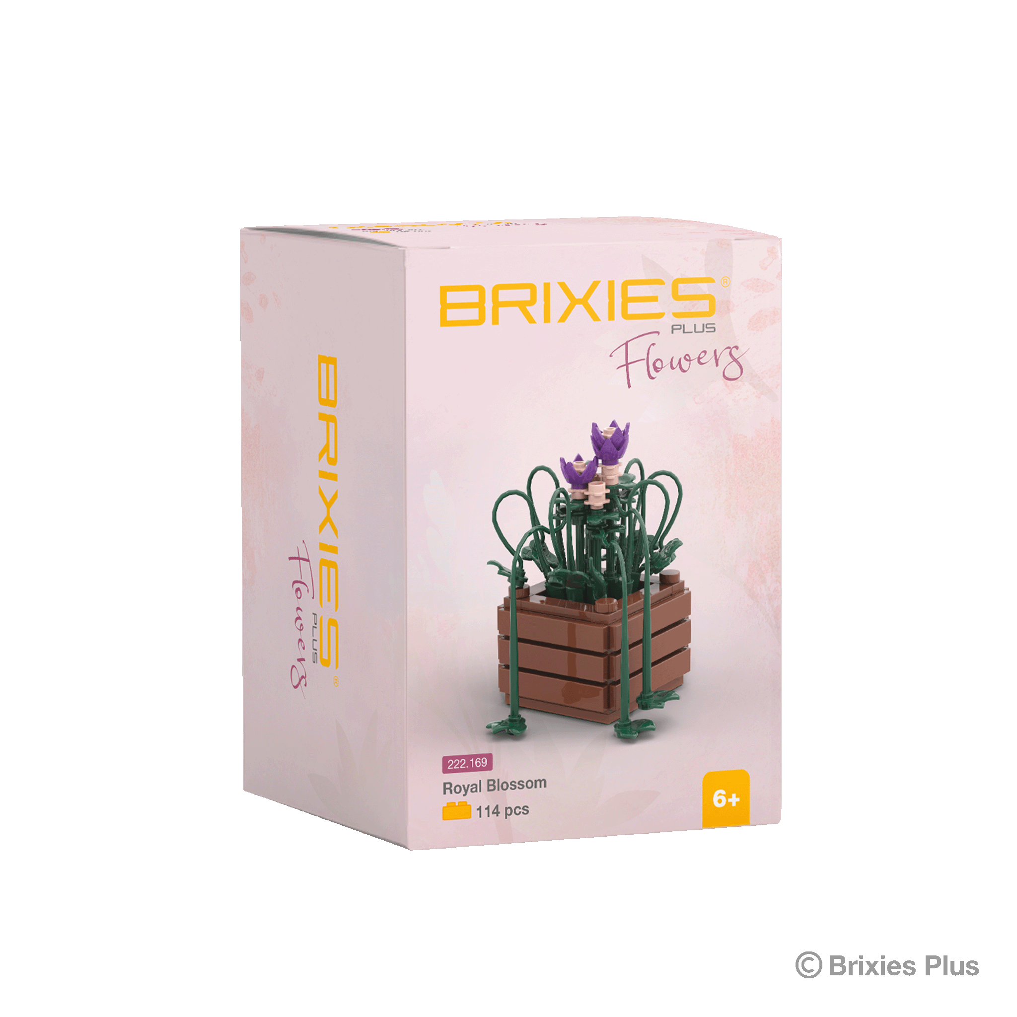 BRIXIES Plus Mini Blume "Royal Blossom"