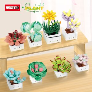 WOMA Sukkulentenpflanzen 8er Set